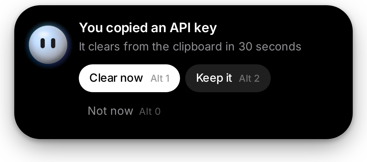 You copy an API key